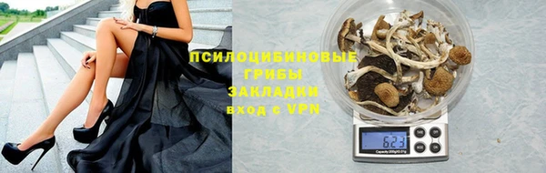 гидра Балахна