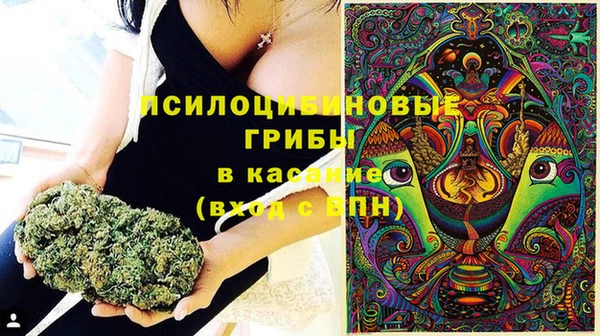 гидра Балахна